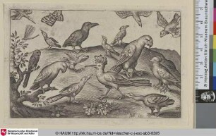 [Fünfzehn Vögel, eine Libelle und ein Nachtfalter; Fifteen Birds, a Dragonfly and a Moth]