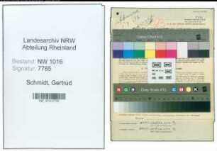 Entnazifizierung Gertrud Schmidt , geb. 06.08.1900 ()