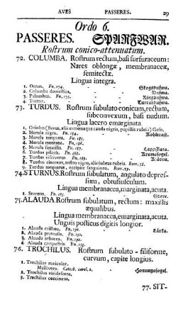 Ordo 6. Passeres
