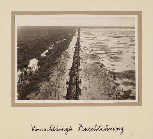 Westküste Landgewinnung - vernachlässigte Buschlahnung