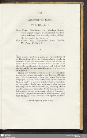 Ammonites Listeri. Tab. DI. - fig. 1