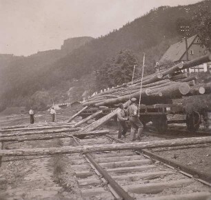 Ufer der Elbe mit Eisenbahngleis, dort Drehschemelwagen mit Stammholz, das zu Flößen zusammengebaut werden soll. Transportarbeiter beim Abladen : Laube bei Tetschen-Bodenbach. Ufer der Elbe mit Eisenbahngleis, dort Drehschemelwagen mit Stammholz, das zu Flößen zusammengebaut werden soll. Transportarbeiter beim Abladen