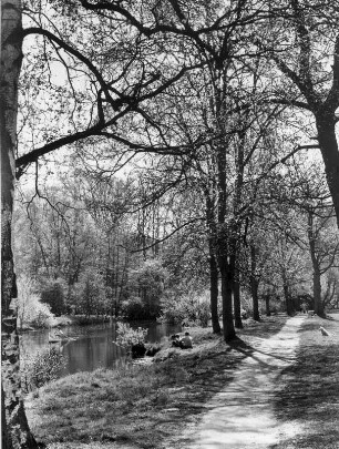 Wanderweg an der Alster im Frühling. Am Ufer rastet eine Familie