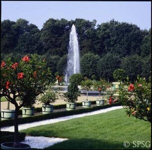 Berlin, Schlossgarten Charlottenburg, Großes Parterre, Blick durch Kübelpflanzen auf Fontäne.