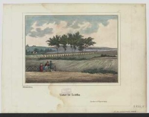 Viadukt bei Zschöllau, 1840 : 5 : Viadukt bei Zschöllau / HWEberhard del. et sc. - Leipzig : Zirges , [1840]. - 1 Ansicht : Stich