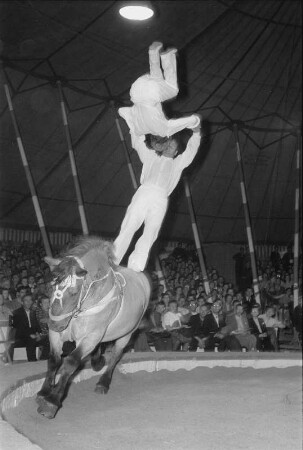 Fontners Reitertruppe, Darbietung der Kunstreiter. Zirkus Olympia? 1955