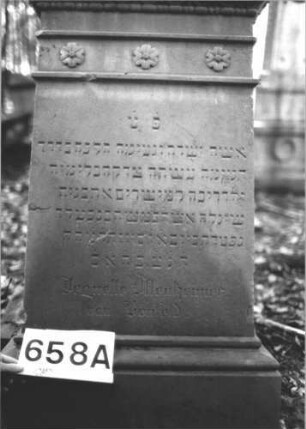 Grabstein 658 (Index: 99900583) Material: Sandstein Zustand: gut erhalten Maße HxBxT: 154x59x29 cm Beschreibung: aufgesockelte Stele, Aufsatz mit Giebelpalmette, Voluten und Akanthus, nach unten mit Eierstabfries und Blütenfries abschließend Symbolik: Palmette, Voluten, Akanthus, Eierstabfries, Blütenfries: Grabstein 658A