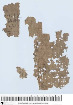 Hieratischer Papyrus, Buch vom Tempel