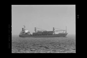 Aqaba Crown ex ursus (1983), Tom Wörden, Hamburg