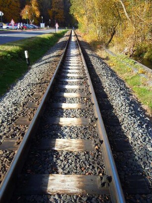 Schienen der Selketalbahn : Das Tal des kleinen Flusses Selke im Unterharz ist ein beliebtes Wandergebiet. Aufgenommen an einem sonnigen Herbsttag, am 21. Oktober 2012, bei Alexisbad