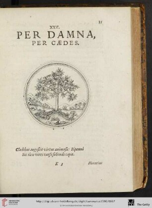 XXV. Per Damna, per Caedes
