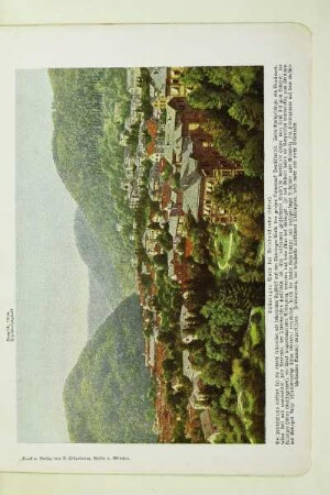 Thüringer Wald bei Friedrichroda (440 m)
