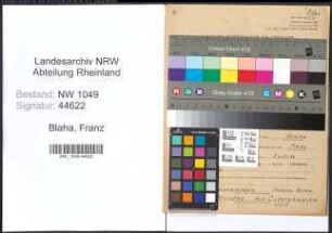 Entnazifizierung Franz Blaha , geb. 31.08.1902 (Maurer)