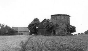 Neugersdorf bei Zittau (Wyszkow/Polen). Holländermühle, Ruine