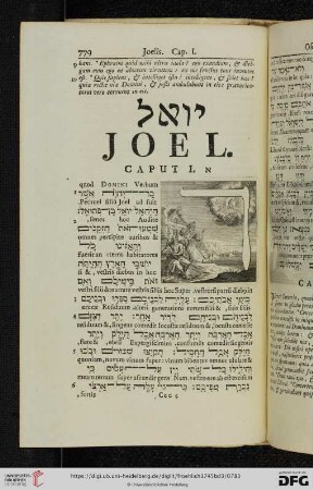 Joel