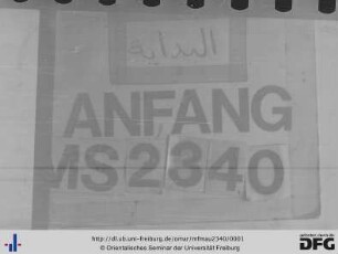 MF Mau 2340