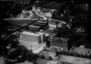 Jena