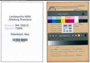 Entnazifizierung Alex Niewiedzol, geb. 06.08.1900 (Hotelier)