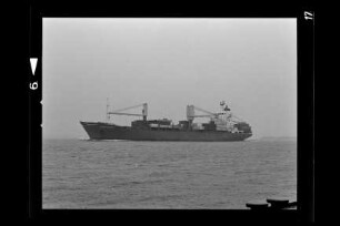 Concordia (1983), Containerschiff, Concordia Schiffahrts GmbH & Co. KG, Elsfleth, Bau-Nr. 474