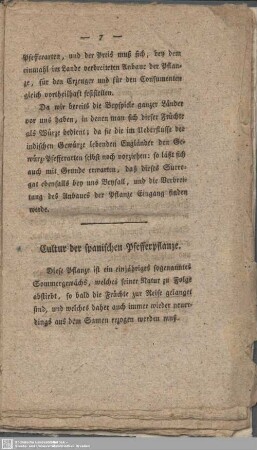 Cultur der spanischen Pfefferpflanze