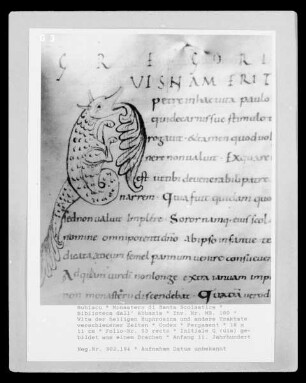 Vita der heiligen Euphrosina und andere Traktate verschiedener Zeiten — Initiale Q (uis) gebildet aus einem Drachen, Folio 53 recto