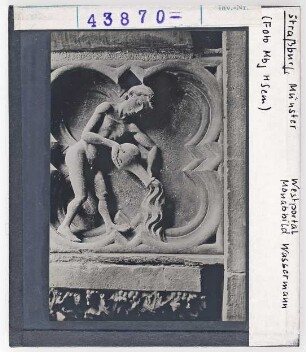 Straßburg, Münster: Westportal, Sternbild Wassermann