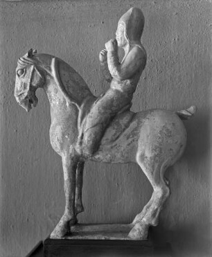 Pferd mit Reiter