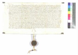 Lehenrevers des Thomas Supp gegen Kloster Wiblingen über eine Sölde zu Weinstetten