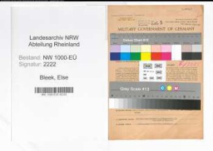 Entnazifizierung Else Bleek, geb. 01.05.1902 (Lehrerin)