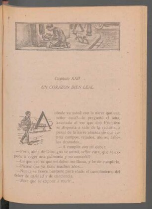 Capítulo XXII - Un corazón bien legal