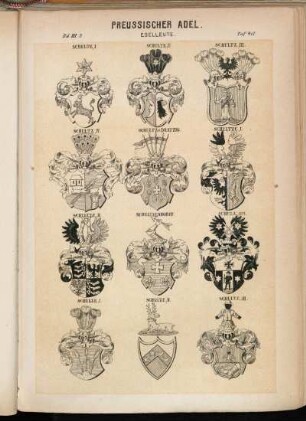 Taf. 418. Schultz I. - Schultz II. - Schultz III. - Schultz IV. - Schultz v. Dratzig. - Schultze I. - Schultze II. - Schultzendorff. - Schulz, 1871; Schulze I. - Schulze II. - Schulze III.