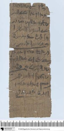 Demotischer Papyrus, Hochformatbrief