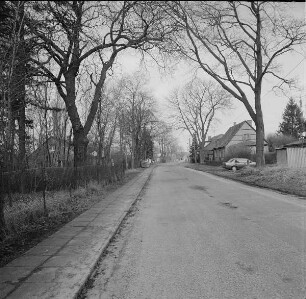 Foto, Drebkau-Kausche