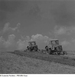Landwirtschaft