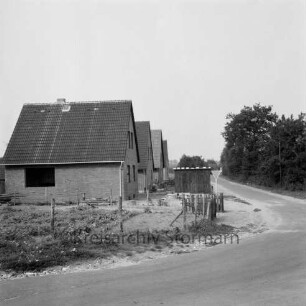Neubausiedlung: links Einfamilienhäuser vor und nach Fertigstellung: davor Vorgärten und Schuppen: vorn und rechts Straße: hinten rechts Bäume