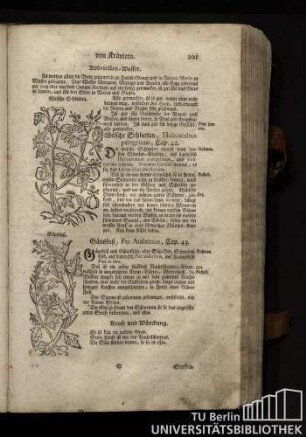 Cap. 43. Gaensfuß, Pes Anserinus.