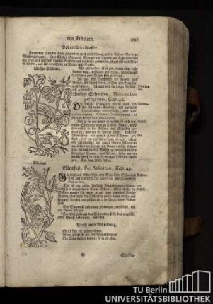 Cap. 43. Gaensfuß, Pes Anserinus.