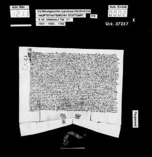 Hans Wagner, genannt Zieglar, aus Grafenberg, wegen Bruchs einer früheren U. und anderer Straftaten zu Nürtingen gef., und daselbst mit Recht dazu verurteilt, dass er vom Nachrichter mit Ruten aus der Stadt zum Neckartor hinaus und über die Brücke geschlagen und des Landes verwiesen werde, gelobt eidlich, unverzüglich und auf dem nächsten Weg aus dem Lande und über den Rhein zu zeihen, auch sein Leben lang nicht mehr herüberzukommen und schwört U. Wagner hatte dem Pfarrer zu Grafenberg, seinem Schwager, aus der Kirche Geld, Silbergeschirr u.a. im Wert von 100 fl gestohlen, war darauf gef. und gegen U.-Verschreibung unter bestimmten Bedingungen wieder freigelassen worden. Entgegen dieser Begnadigungsartikel war er jedoch nicht im Zehnt von Grafenberg geblieben, sondern nachts in das Haus seines Schwagers zu Nürtingen eingebrochen in der Absicht, mit einem Beil die Böden der Weinfässer einzuschlagen und den Wein in den Keller auslaufen zu lassen. Von diesem Vorhaben wurde er nur dadurch abgehalten, dass er während seines Verweilens im Keller vermeinte, das Haus würde aufgeschlossen. Ferner hatte er sich an der kaum 12-jährigen Tochter des Pfarrers und natürlichen Schwester seiner Frau unsittlich vergangen.