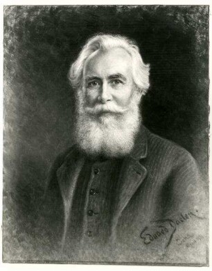 Porträt Ernst Haeckel