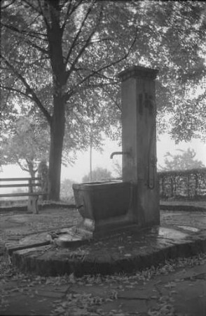 Pumpbrunnen an der Panoramastraße zum Turmberg.