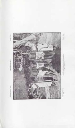 Plate LIII. Tamankaduwa. Veddá Chiefheadmen and Family. Kohumbaléwa