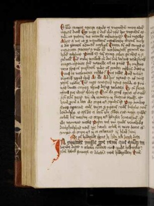 Caesarius Heisterbacensis: Dialogus miraculorum. Dist. 1, cap. 40. De s. Hildegunde virgine