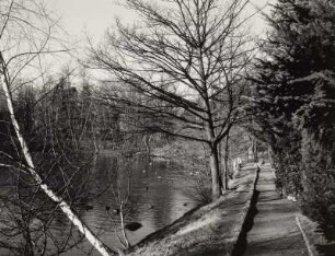 Parkanlage "Schwanenteich" : Mittweida, Parkanlage "Schwanenteich", 1878, 1914, Schwanenteich mit Uferpromenade