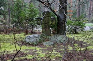 Dresden-Wilder Mann, Moritzburger Landstraße 299. Heidefriedhof. Grabkreuz vor einem Baum