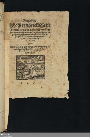 Warhafftige: Doch erschreckliche beschreibunge/ in vnd ausserhalb der Stad [Druck]