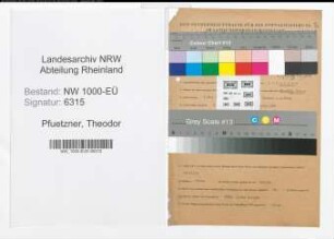 Entnazifizierung Theodor Pfuetzner, geb. 09.05.1899 (Kaufm.Angest.)