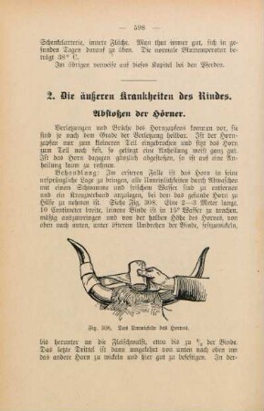 2. Die äußeren Krankheiten des Rindes