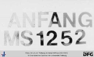 MF Mau 1262