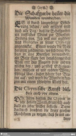 Die Schafgarbe heilet die Wunden wunderbar