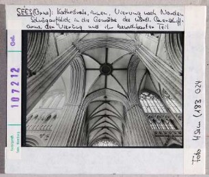 Seés: Kathedrale, Gewölbe der Vierung und des nördlichen Querschiffarms